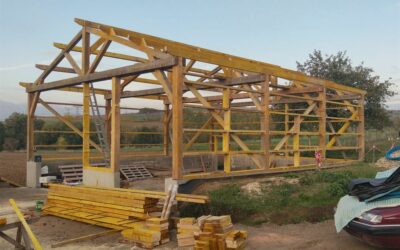 Charpentier à Senones : votre expert construit entretient votre charpente